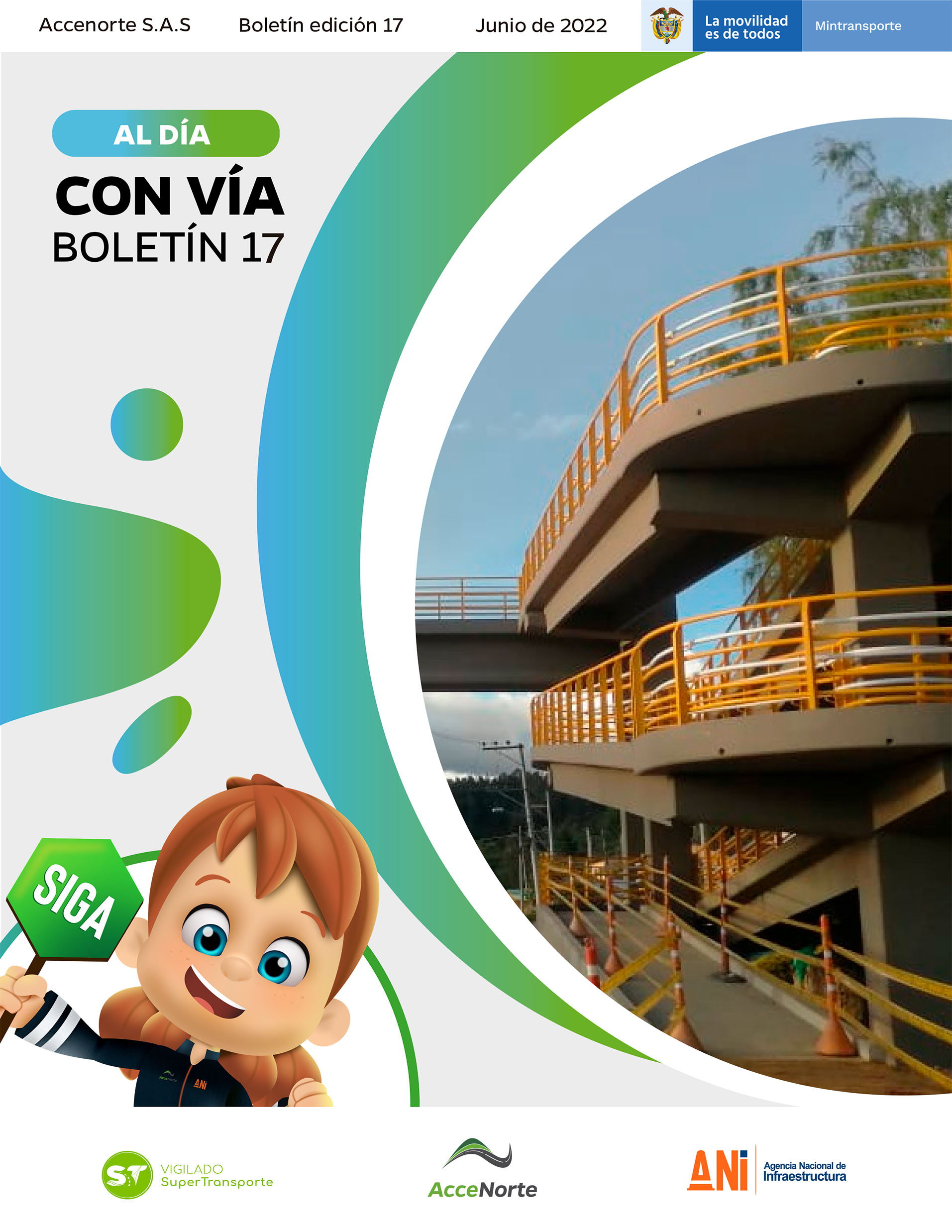 BOLETÍN 17