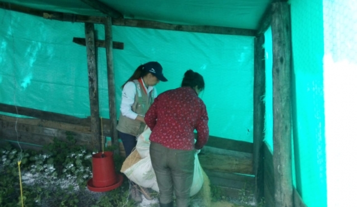 Acondicionamiento de Galpón