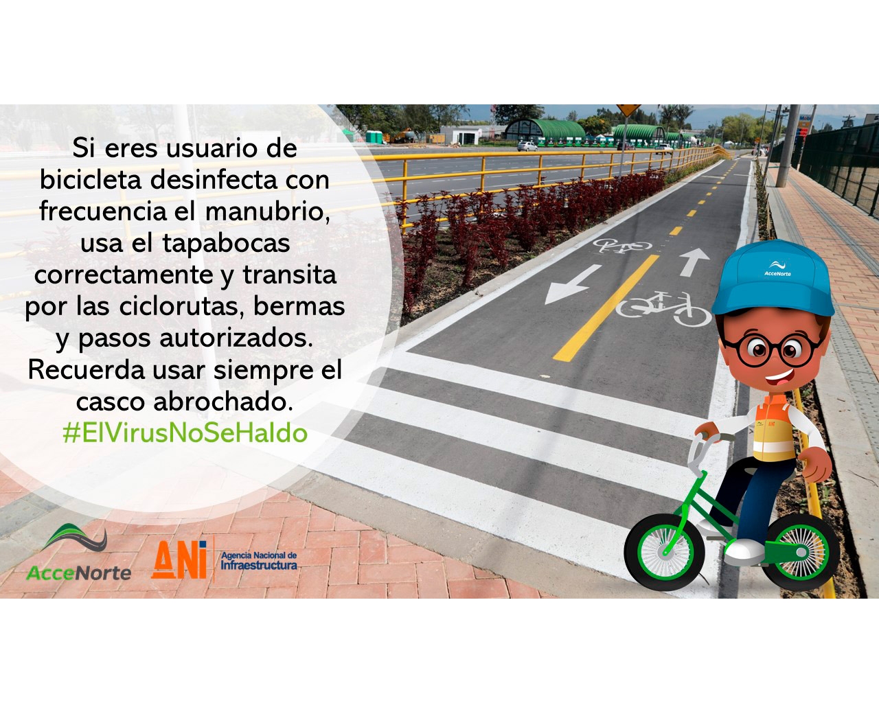 Usuarios de bicicleta