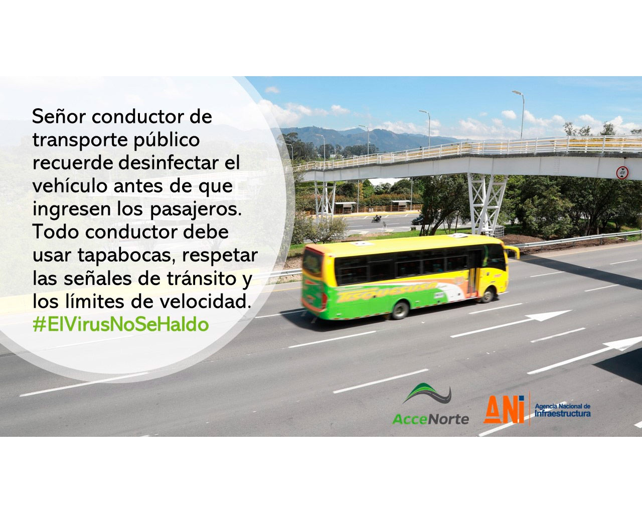 Buses