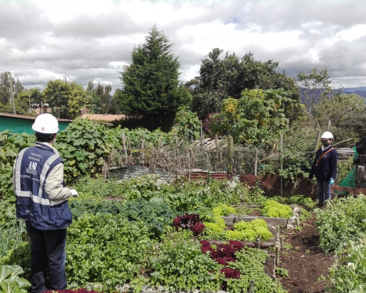 visita al proyecto