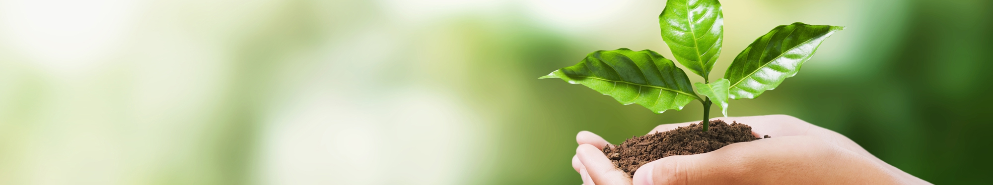 Gestión Ambiental 