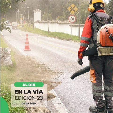 Boletín trimestral