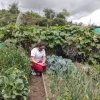 siembra de vegetales