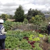 visita al proyecto